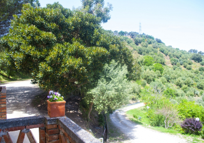 Bed And Breakfast Fattoria Di Grenne